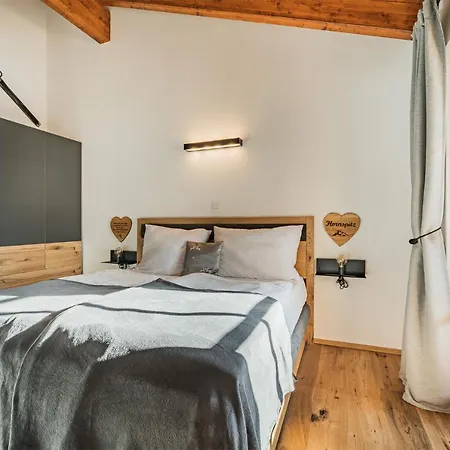 Dachstein West T5 Lejlighed Russbach am Pass Gschütt